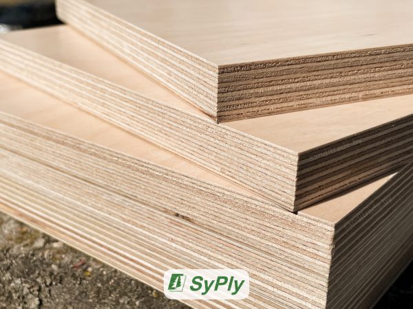 SyPlyBirchTop